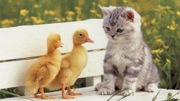 Татьяна Севрюкова