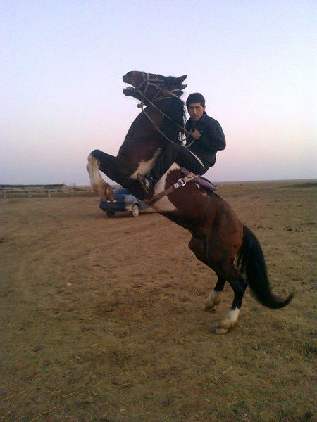 Ерболат Бигельдиев