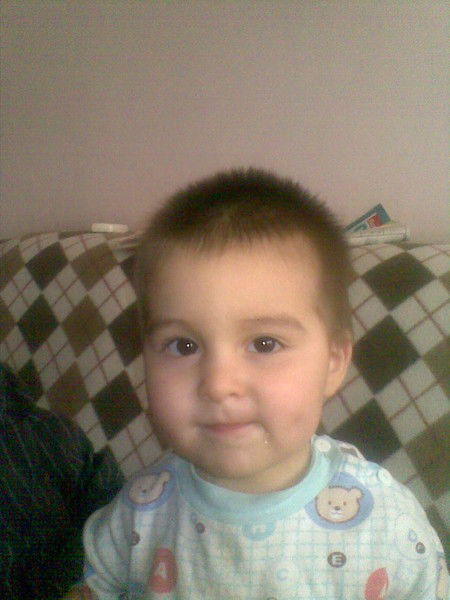 Шрек Шрекович