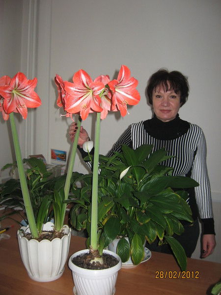 Татьяна Ирсмамбетова