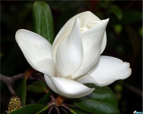 Екатерина Матушкина