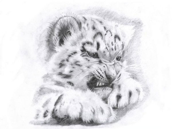 Валентин Ростовщиков