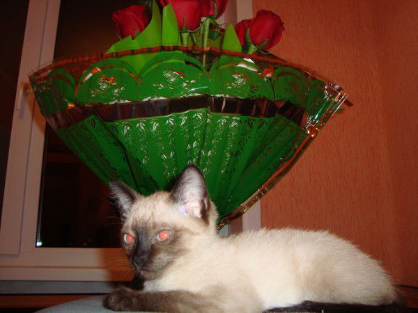 Марина Жакипова