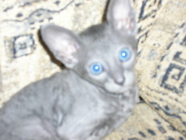 Татьяна Буянова