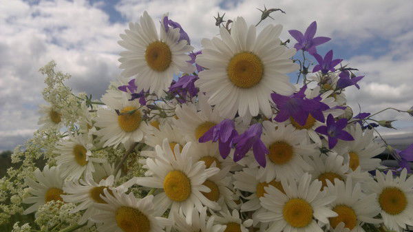 Лариса Авдошина