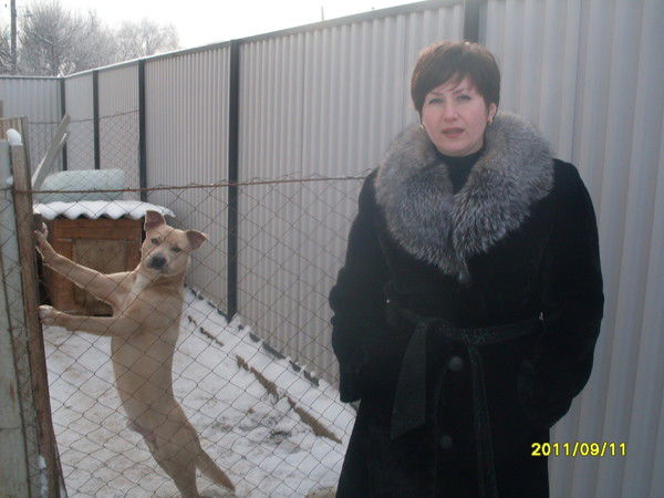 Галина Голубенко