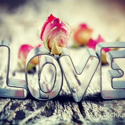 Анна Овчинникова