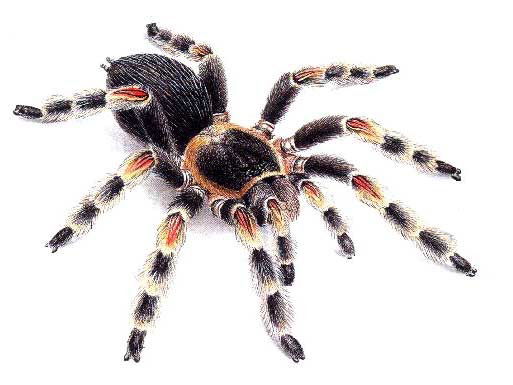 Александр Ильин