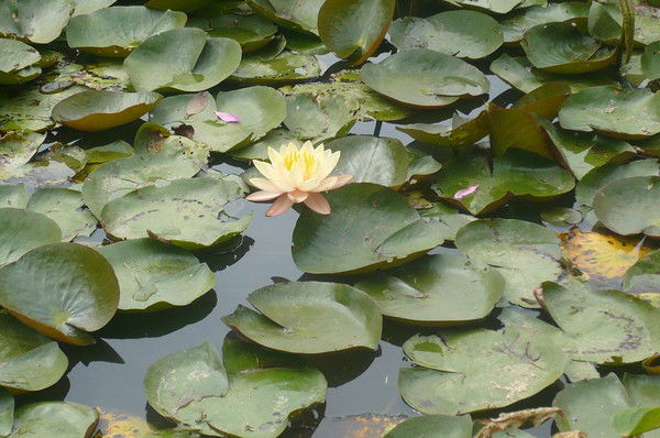 Гульнара Сарсенбаева