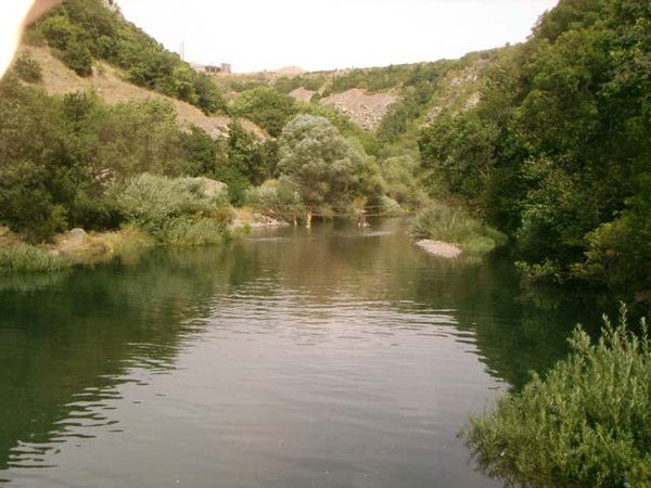 Анушаван Арутюнян