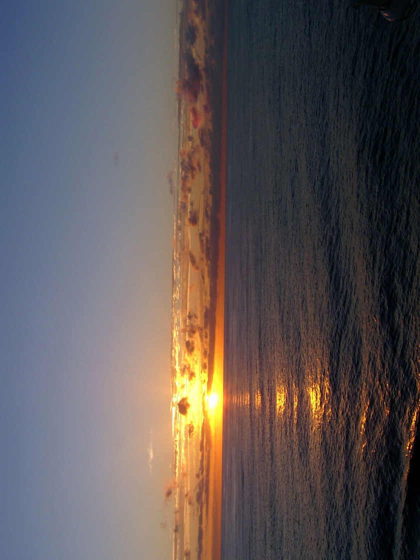 Макс Чепляков