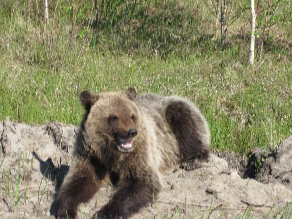 Володя Исаев