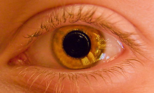 Несуществующий Пользователь