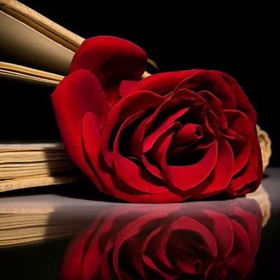 Қорлан Зиятхан