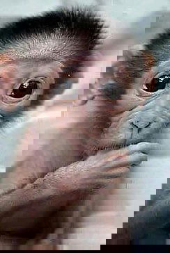 Анарбек Досмуратов