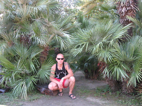 Виктор Рогачёв