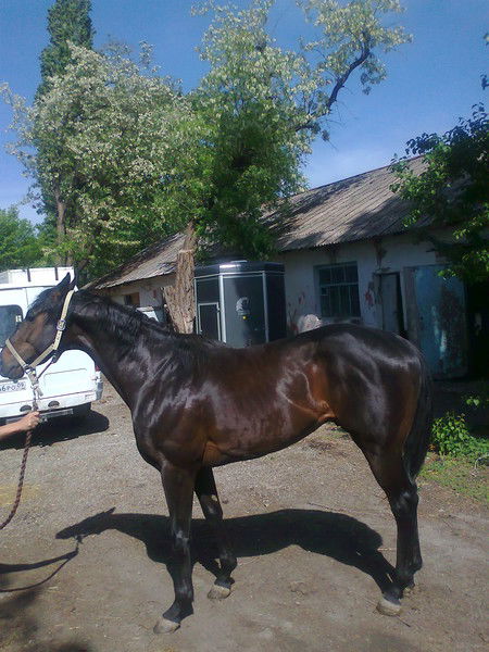 Юрий Филиппов