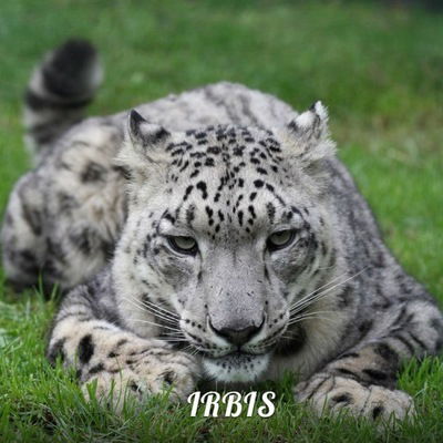 Олег Орлышев