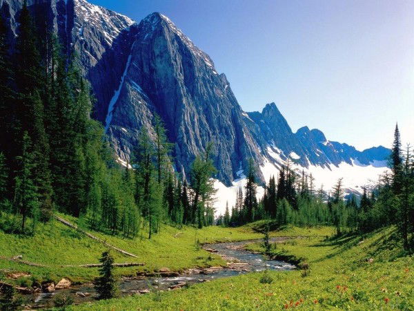 Светлана Никишина