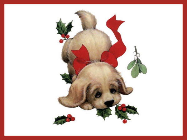 Фарида Мирзасалиева