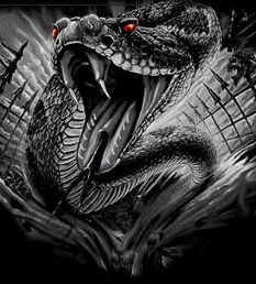 Данил Карнаухов