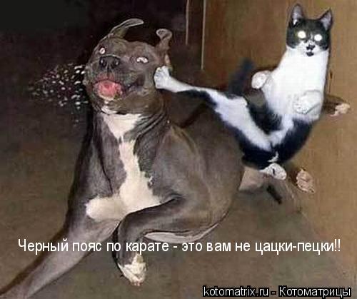 Лёха Просто