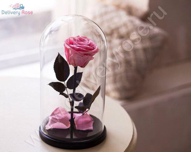 Юлия Григорьева