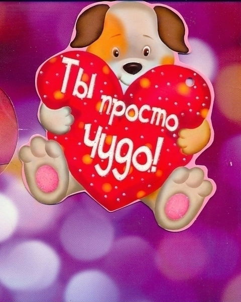 Ирина Лесун