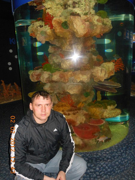 Севергин Виталий