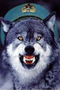 Сергей Рябов