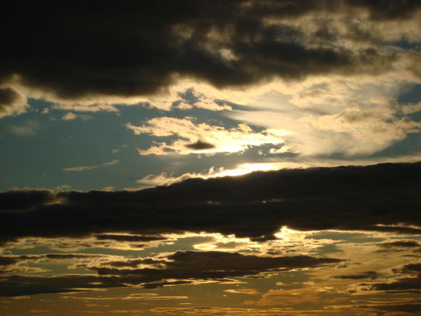 Александр Ольга Гринёвы