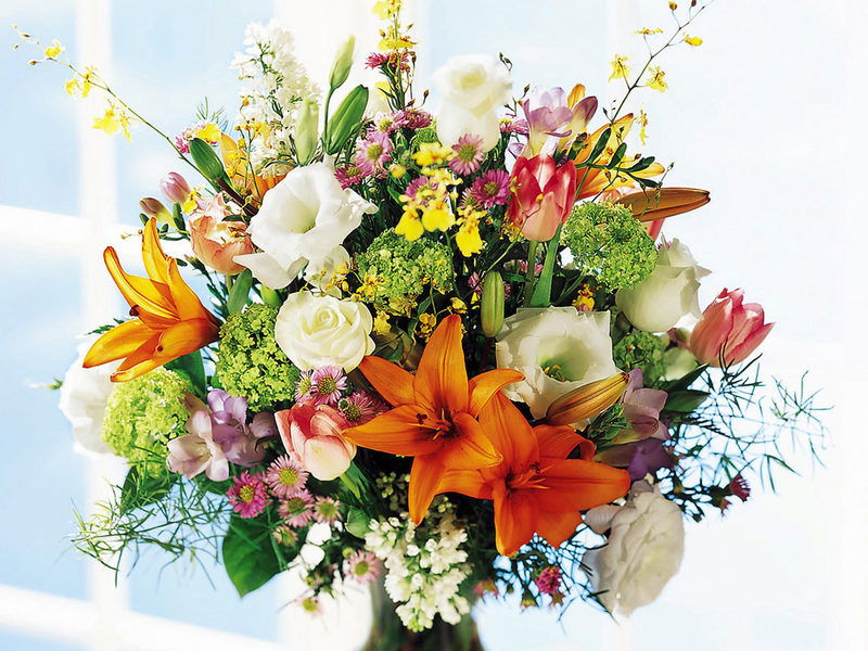 Галина Марченко