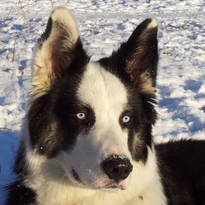 Сергей Секерин