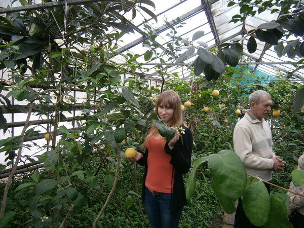 Владимир Арбузов