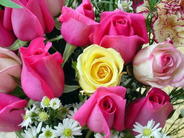 Альбин@ **************