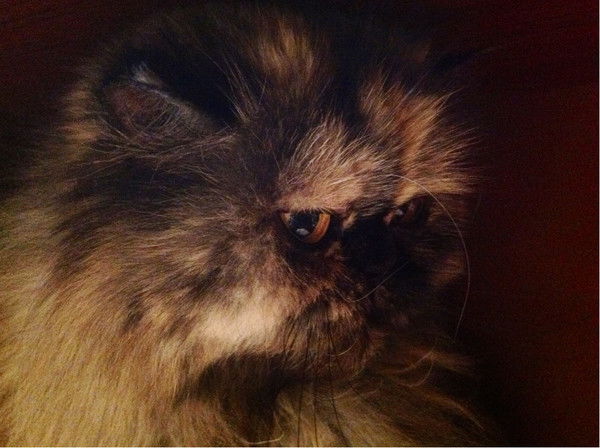 Мила Тохчукова