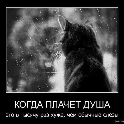 Ксения Иванова