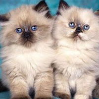 Янина Яновна