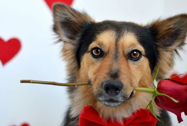 Наташа. Зуева