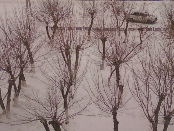 Асхат Мусин