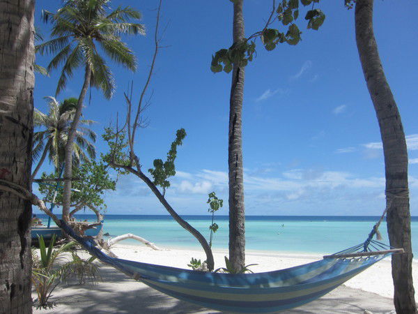 Наталья Никитина