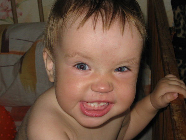 Вова Еремеев