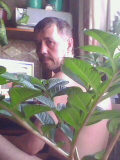 Лопик Лопиков