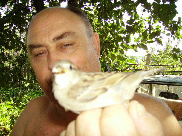 Mihail Lupasco