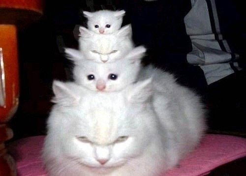 Ольга Глухова