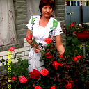 Галина Цицорина