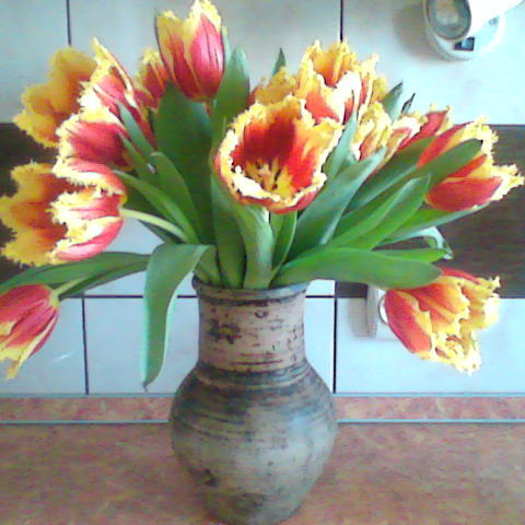 Иван Токарь