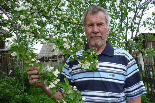 Михаил Попович