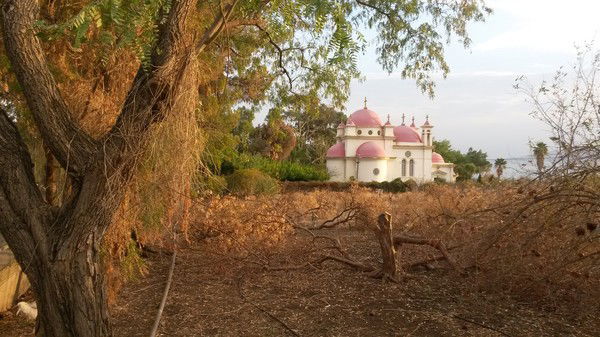 Натали Петросян