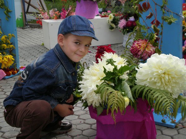 Никита Левин